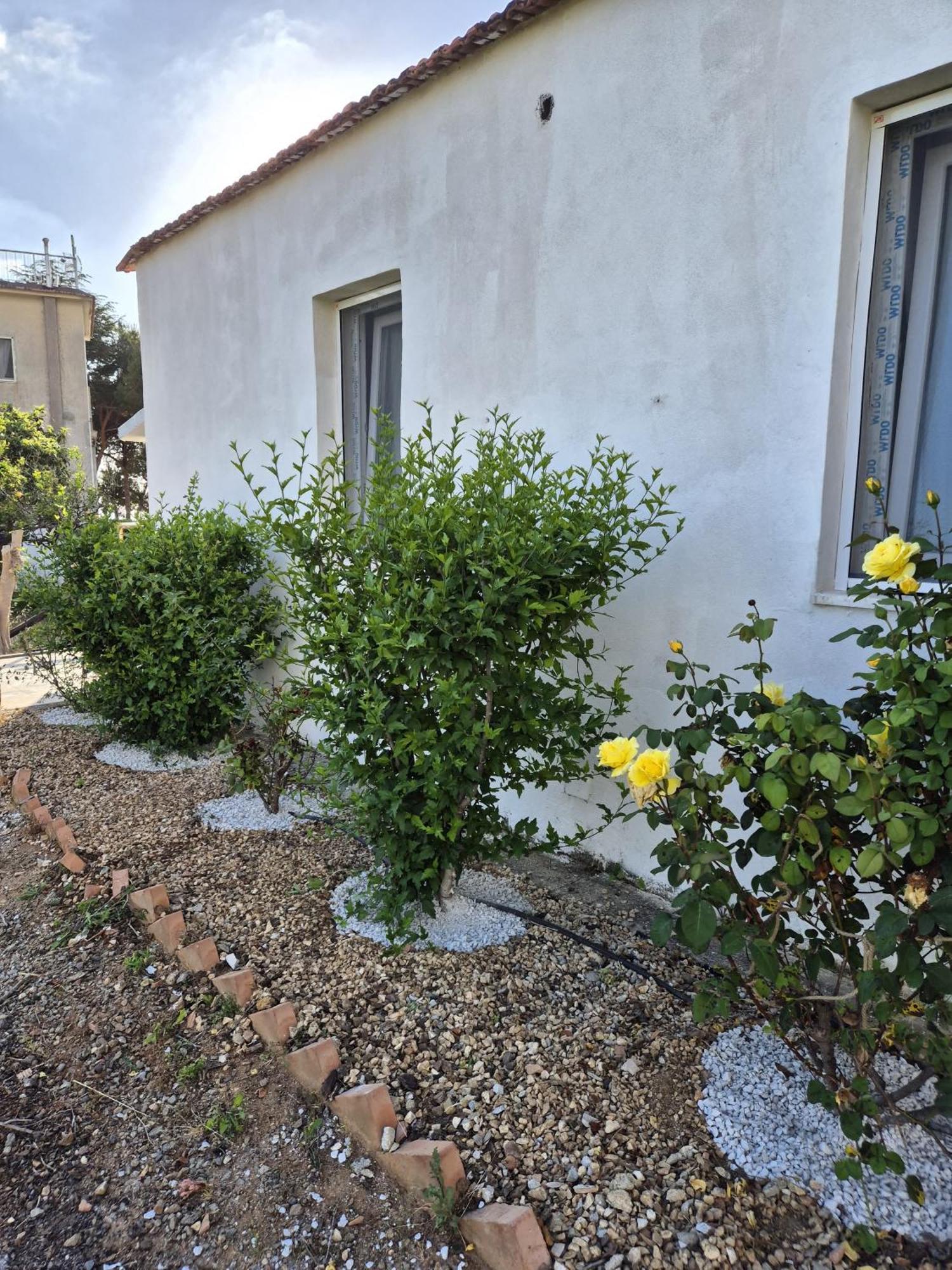 Villa Elvira Country House Belvedere Marittimo Kültér fotó